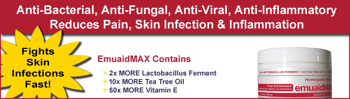 emuaid ointment 2oz homeopathic scabies